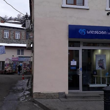 Apartament Sofia Apartment Borjomi ภายนอก รูปภาพ