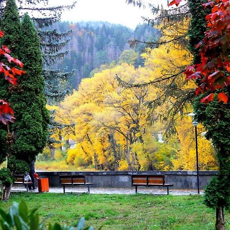 Apartament Sofia Apartment Borjomi ภายนอก รูปภาพ
