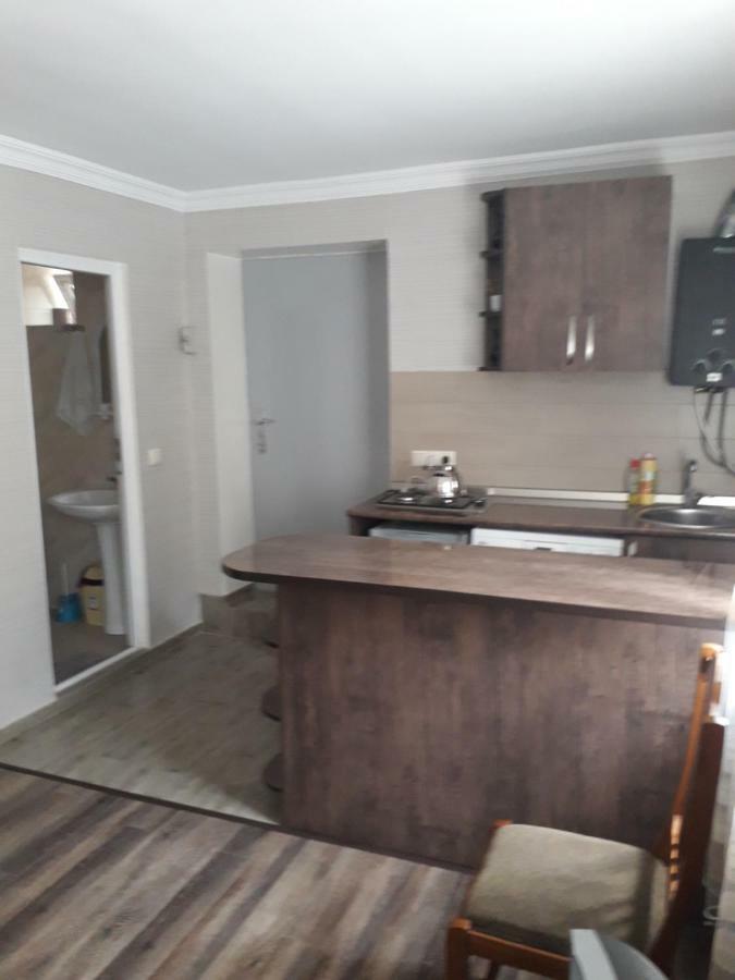 Apartament Sofia Apartment Borjomi ภายนอก รูปภาพ